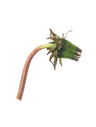 Similar image 22160349