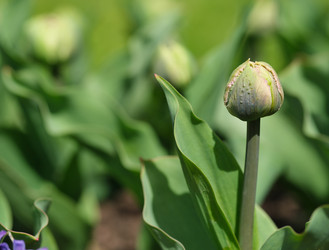 Similar image 22160351