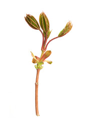 Similar image 22160358