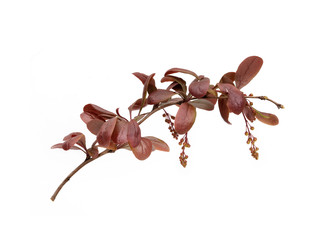 Similar image 22160361