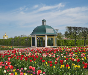 Similar image 22160362