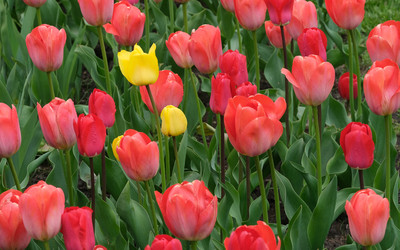 Similar image 22160363