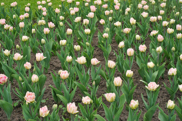 Similar image 22160365