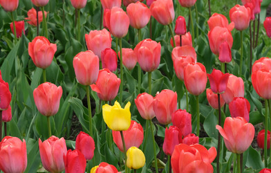 Similar image 22160367