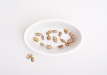 Similar image 22160368