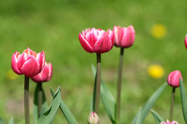 Similar image 22160371