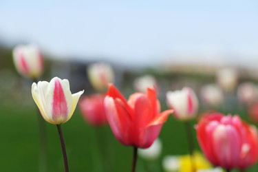 Similar image 22160373