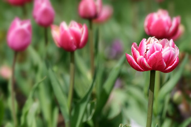 Similar image 22160375