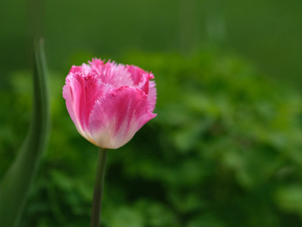 Similar image 22160379