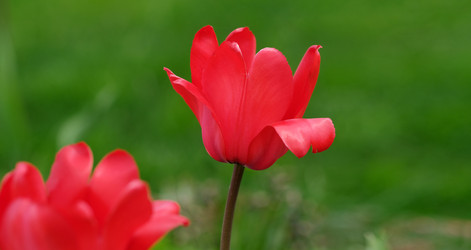 Similar image 22160381