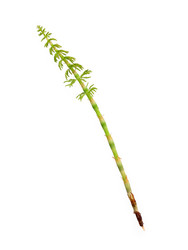 Similar image 22160383