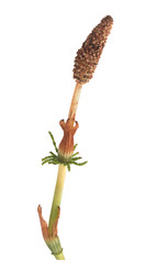 Similar image 22160387