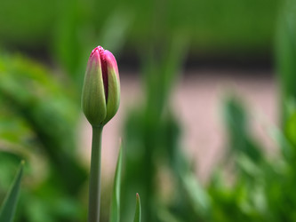 Similar image 22160393