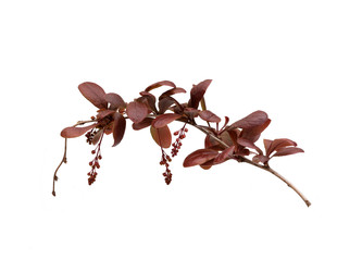 Similar image 22160395