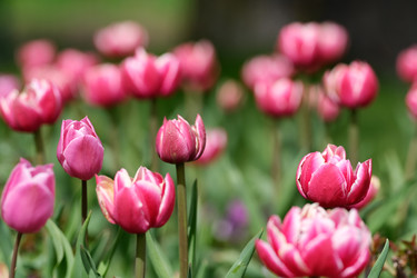 Similar image 22160397