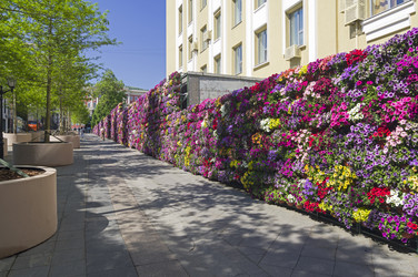 Similar image 22161363