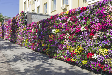 Similar image 22161364