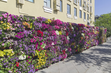 Similar image 22161365