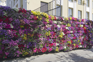 Similar image 22161367