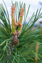 Similar image 22165584