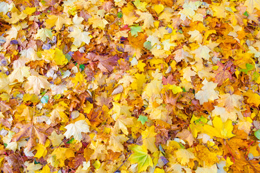 Similar image 22165592