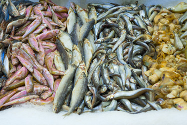 Similar image 22165595