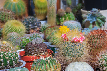 Similar image 22165596