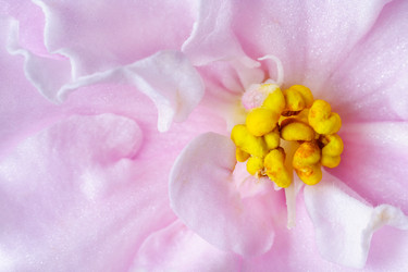 Similar image 22165610