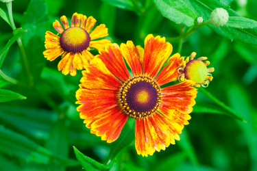 Similar image 22160399