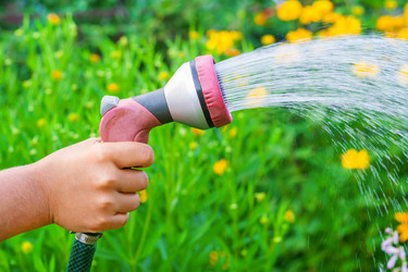 Similar image 22160403