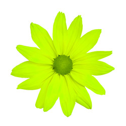 Similar image 22160407