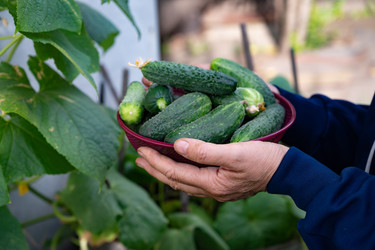 Similar image 22163903