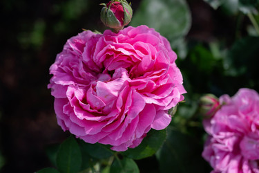 Similar image 22163908