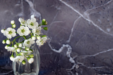 Similar image 22163910