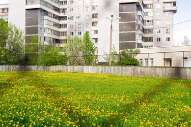 Similar image 22163916