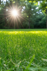 Similar image 22163921