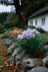 Similar image 22163922