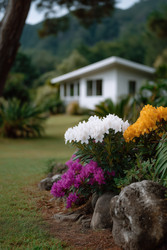 Similar image 22163928