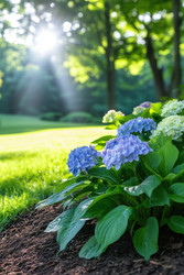 Similar image 22163934