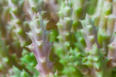 Similar image 22165621