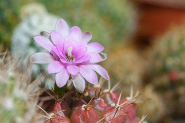 Similar image 22165630