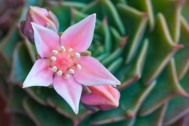 Similar image 22165637