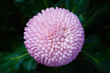 Similar image 22165643