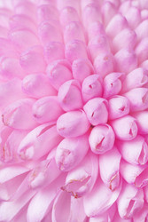 Similar image 22165655