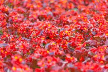 Similar image 22165657