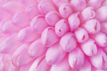 Similar image 22165659