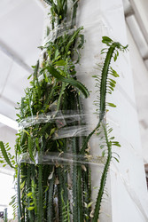 Similar image 22164812