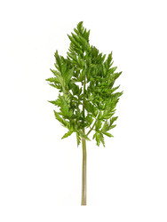 Similar image 22161370