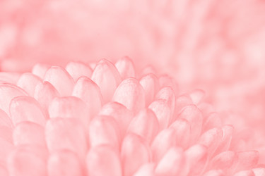 Similar image 22165667