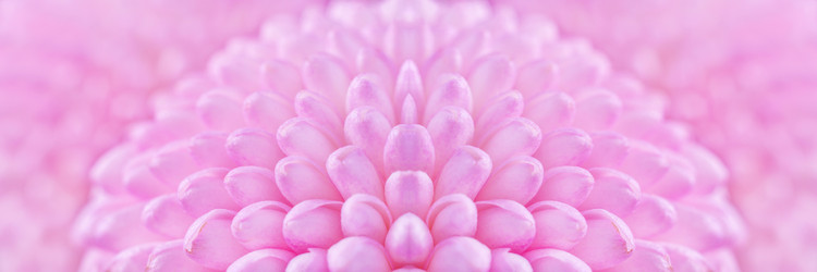 Similar image 22165671